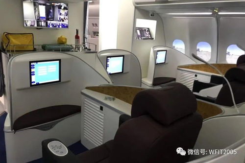 匠心筑梦，翱翔未来——潍理工航空服务与酒店管理学院2024招生季